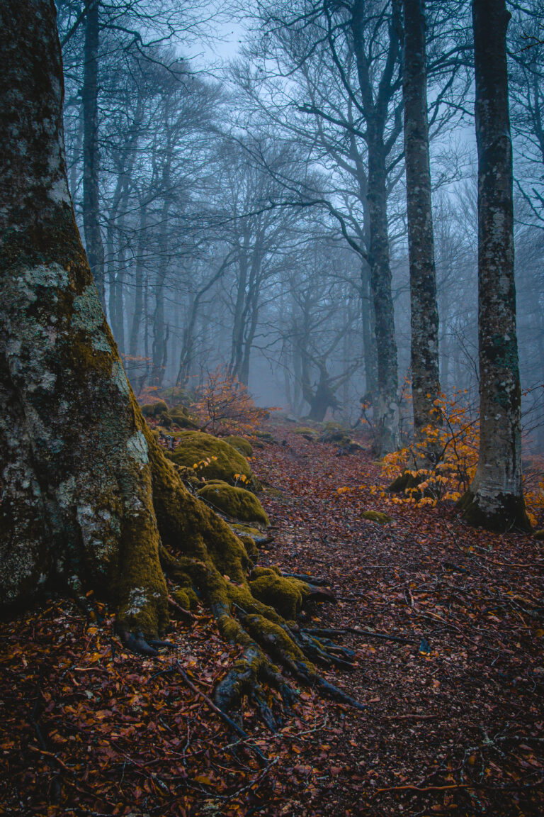 PHOTOGRAPHIE – Pose longue